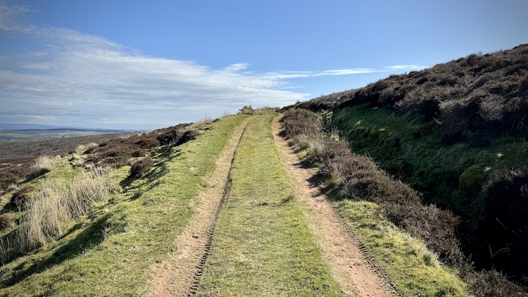 Photo of path